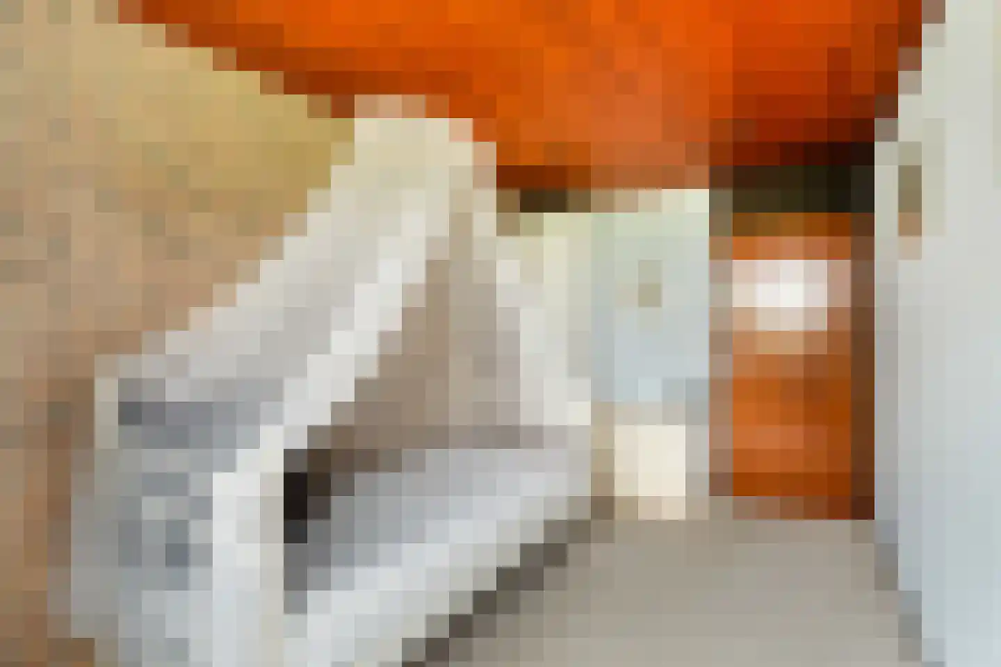 Planetenweg 25 Berkel en Rodenrijs thumbnail 36