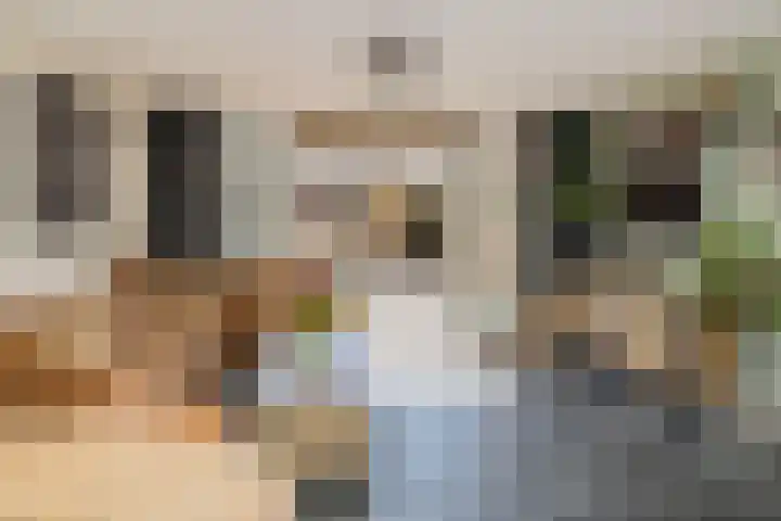 Planetenweg 337 IJmuiden thumbnail 21