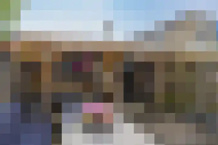 Planetenweg 337 IJmuiden thumbnail 23