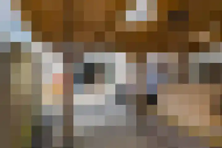 Planetenweg 337 IJmuiden thumbnail 25