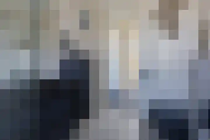 Planetenweg 337 IJmuiden thumbnail 5