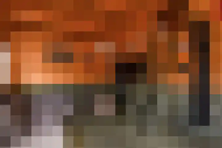 Planetenweg 7 Berkel en Rodenrijs thumbnail 58