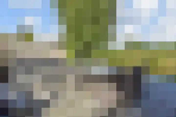 Planetenweg 7 Berkel en Rodenrijs thumbnail 59