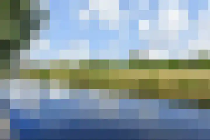 Planetenweg 7 Berkel en Rodenrijs thumbnail 60