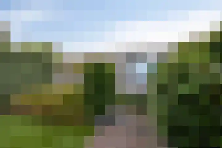 Planken Wambuis 18 Roosendaal thumbnail 37