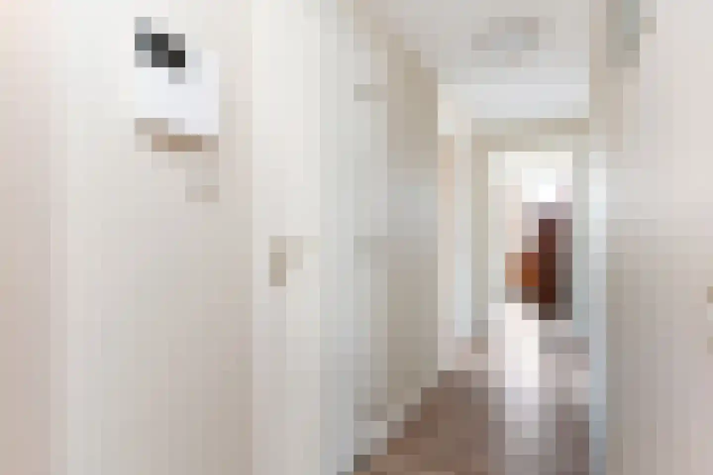 Plankier 8 Boskoop thumbnail 12