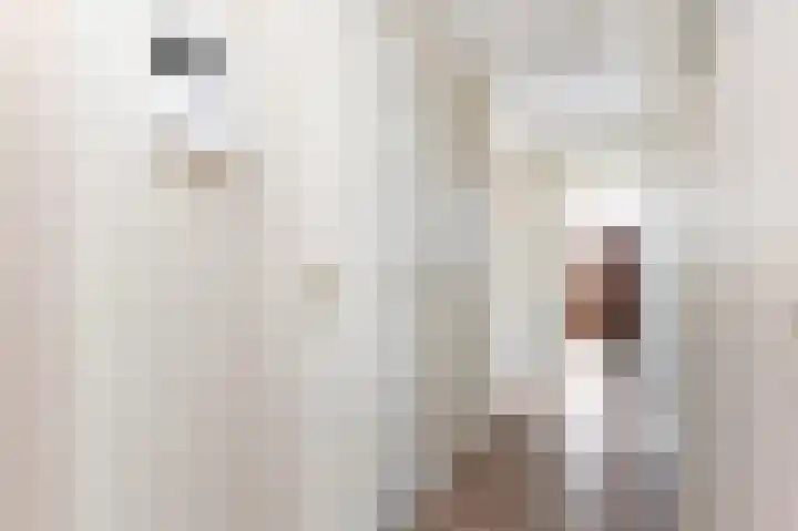 Plankier 8 Boskoop thumbnail 12