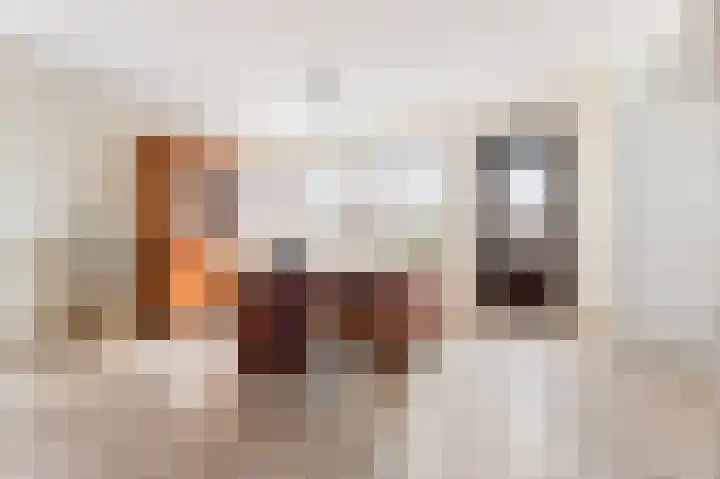 Plankier 8 Boskoop thumbnail 20