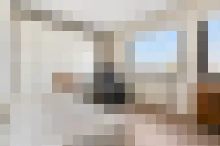 Plankier 8 Boskoop thumbnail 31