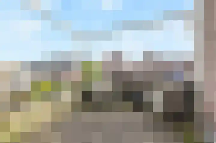 Plankier 8 Boskoop thumbnail 33