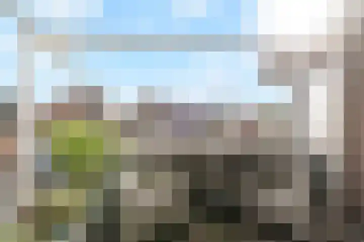 Plankier 8 Boskoop thumbnail 34