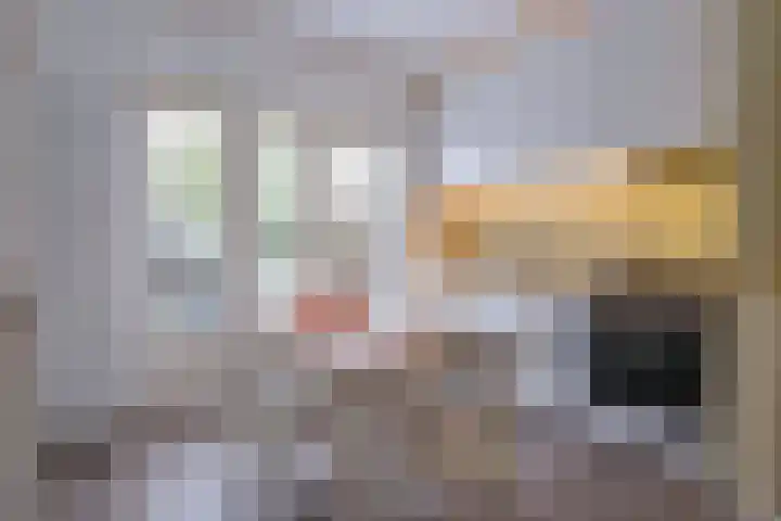 Plankstraat 12 Utrecht thumbnail 7