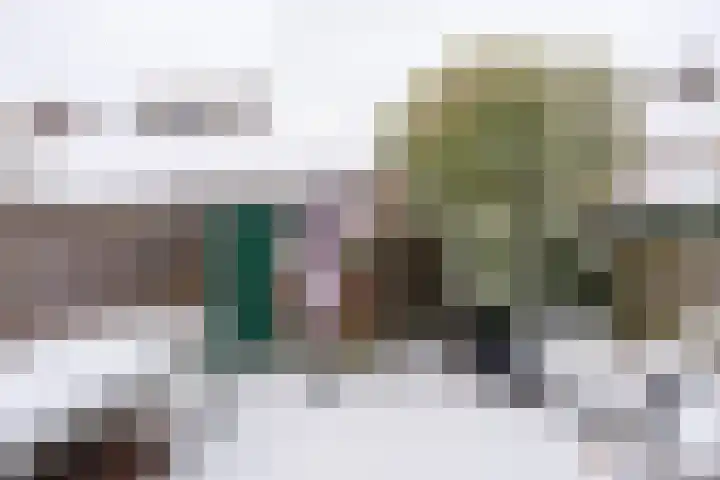 Plankstraat 12 Utrecht thumbnail 8