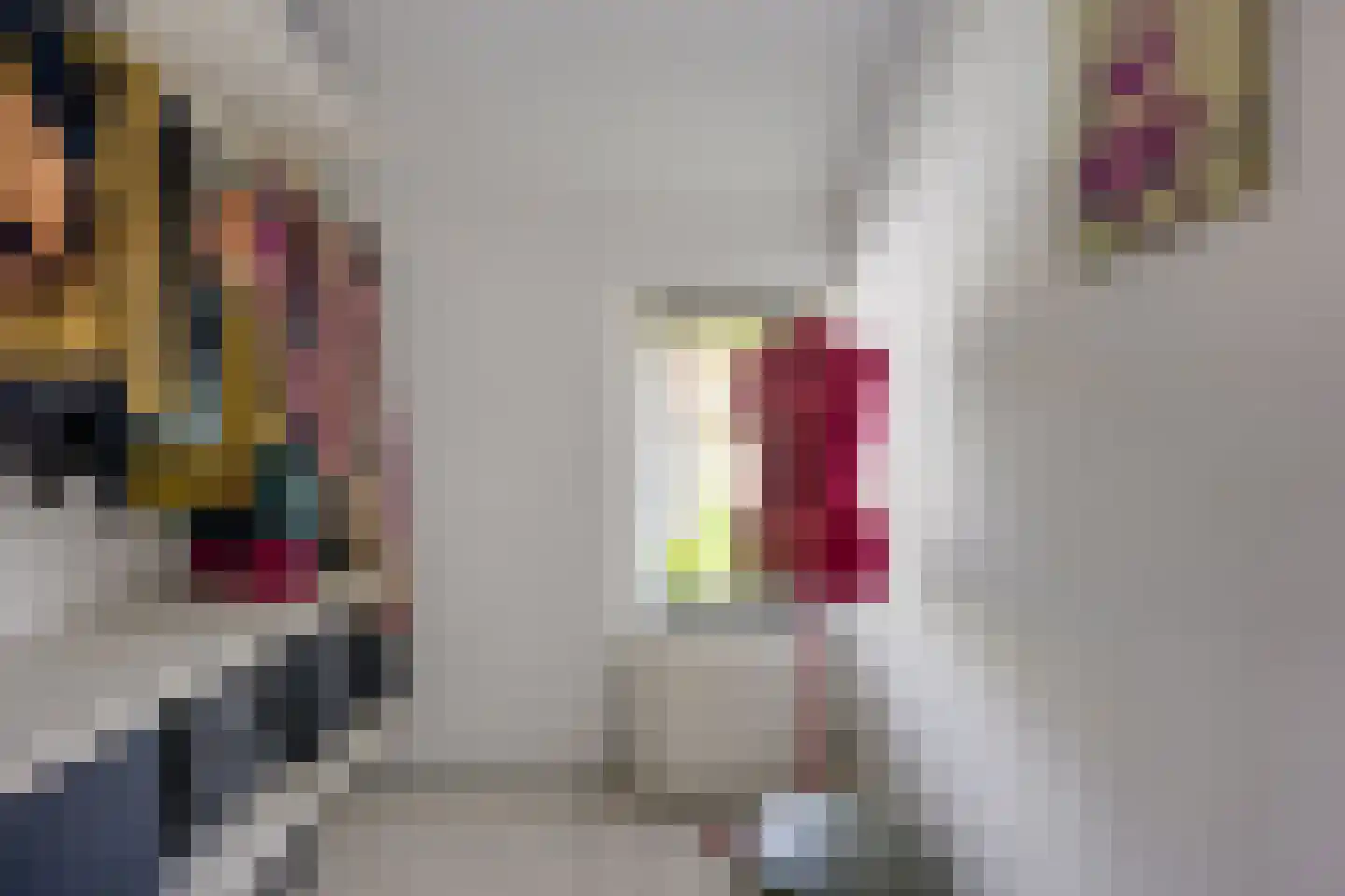 Plankstraat 24 Utrecht thumbnail 23