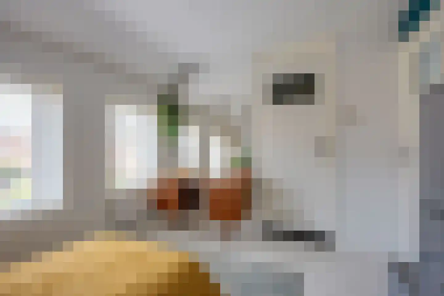 Plankstraat 24 Utrecht thumbnail 30