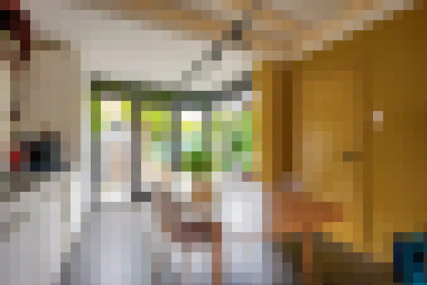 Plankstraat 24 Utrecht thumbnail 4