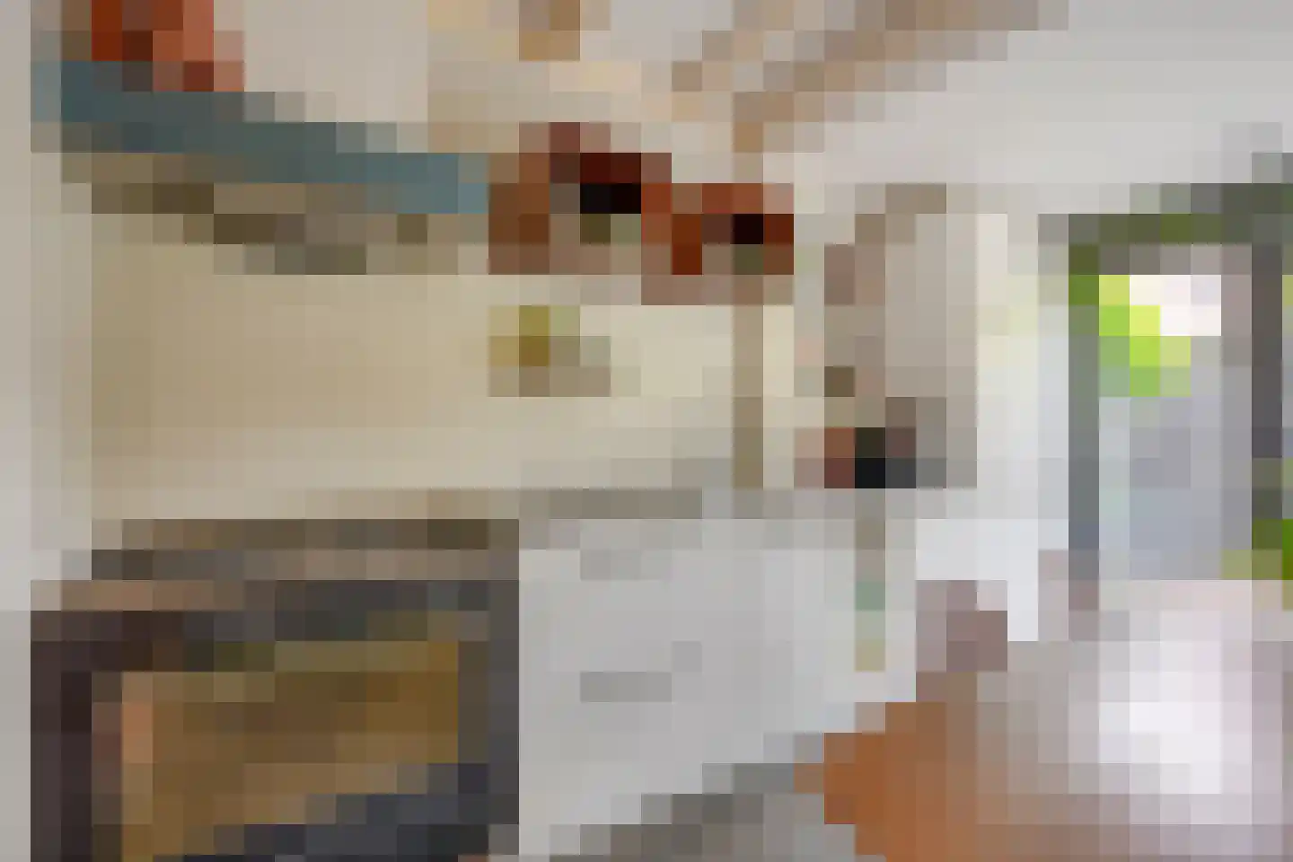 Plankstraat 24 Utrecht thumbnail 6