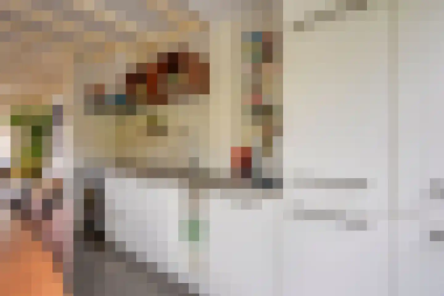 Plankstraat 24 Utrecht thumbnail 7