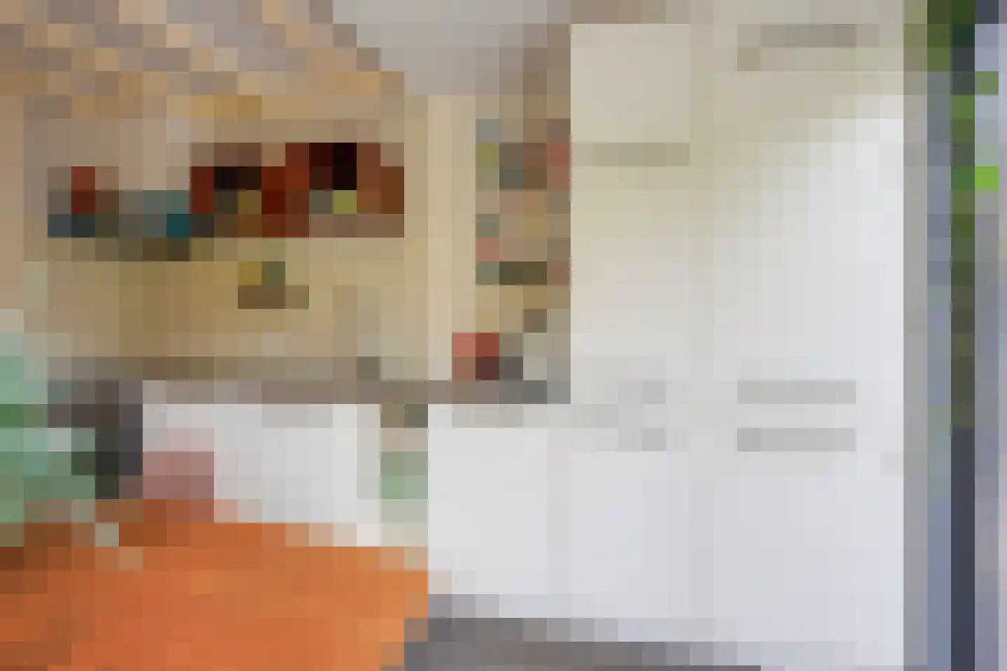 Plankstraat 24 Utrecht thumbnail 8