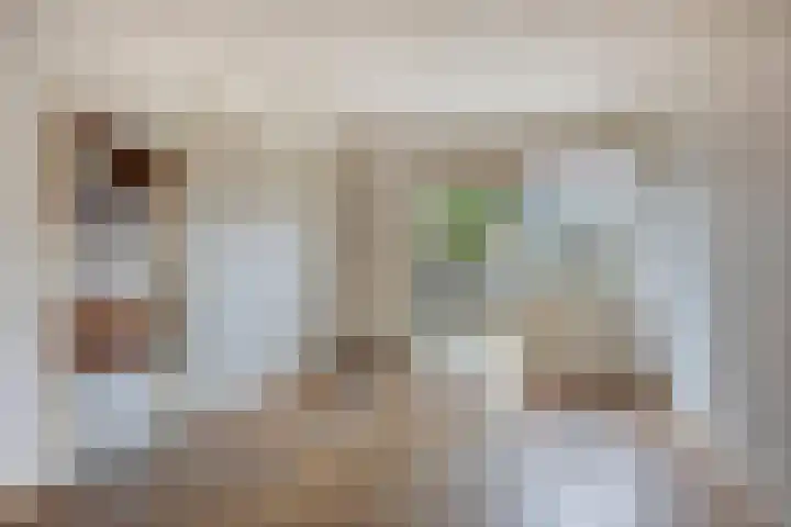Planodonk 7 Maastricht thumbnail 13