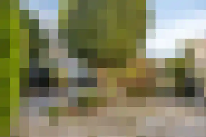 Planodonk 7 Maastricht thumbnail 14