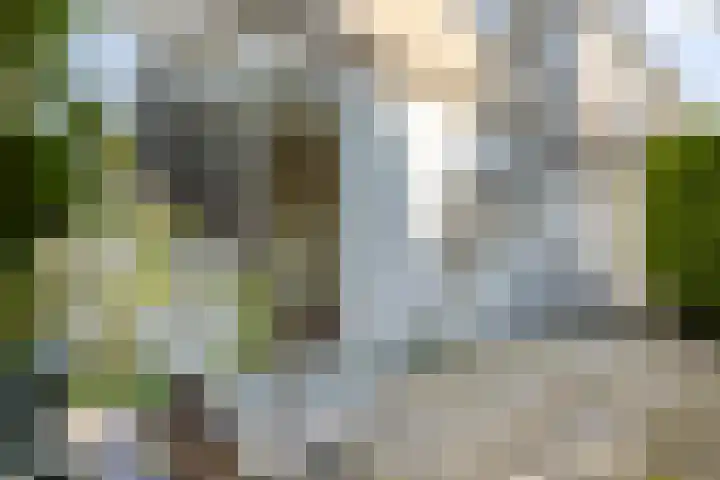 Planodonk 7 Maastricht thumbnail 15