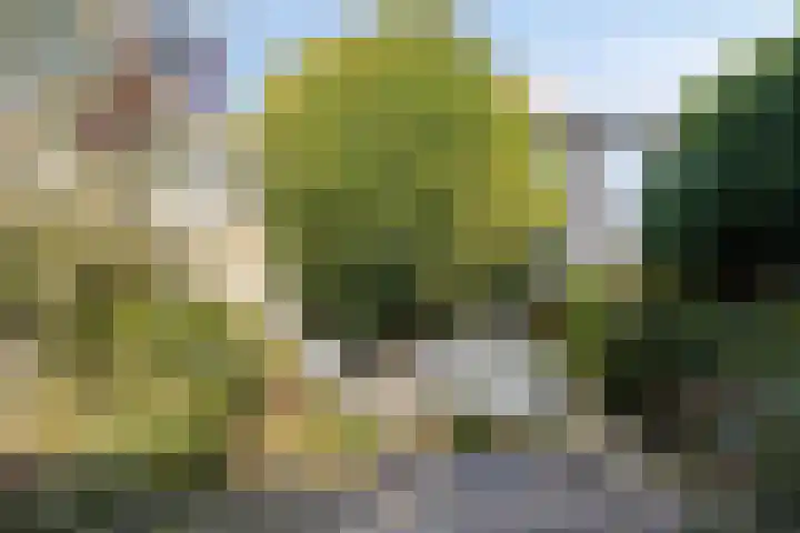 Planodonk 7 Maastricht thumbnail 17