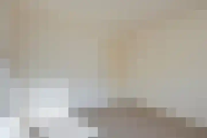 Planodonk 7 Maastricht thumbnail 26