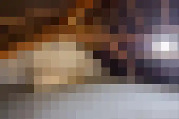 Planodonk 7 Maastricht thumbnail 31