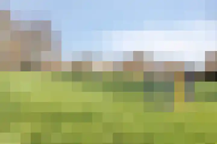 Planodonk 7 Maastricht thumbnail 34