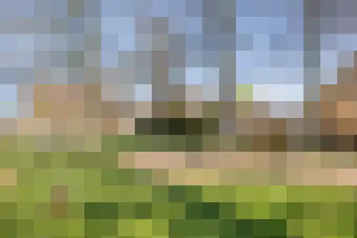 Planodonk 7 Maastricht thumbnail 35