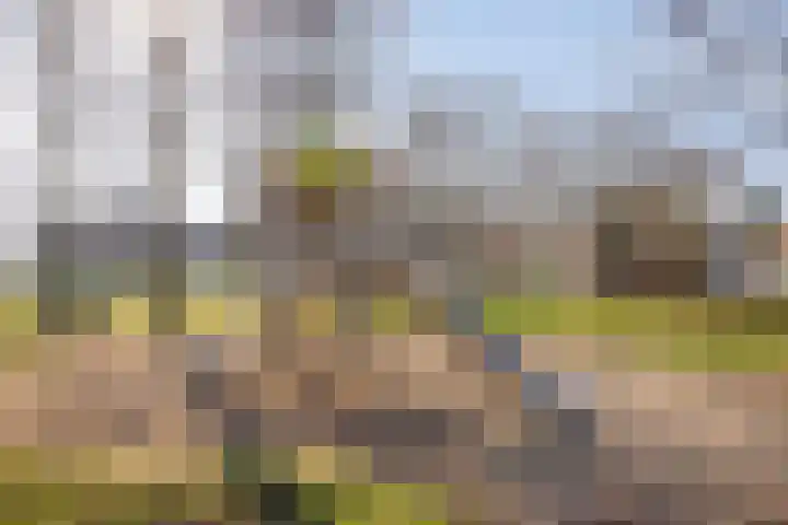 Planodonk 7 Maastricht thumbnail 36