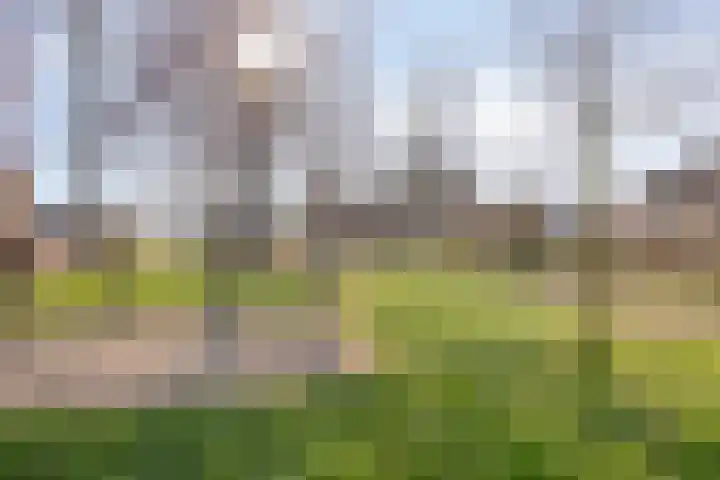 Planodonk 7 Maastricht thumbnail 37