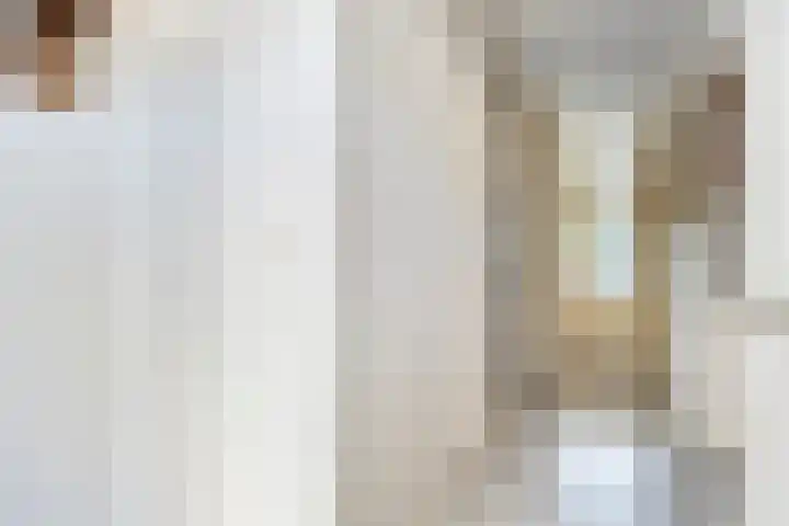 Planodonk 7 Maastricht thumbnail 5