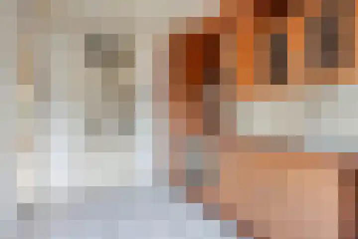 Planodonk 7 Maastricht thumbnail 8