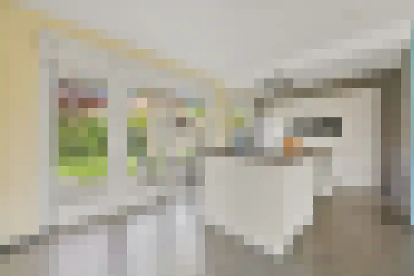 Plantage 1 Maasland thumbnail 21