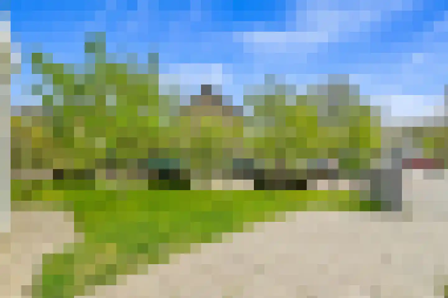 Plantage 1 Maasland thumbnail 5