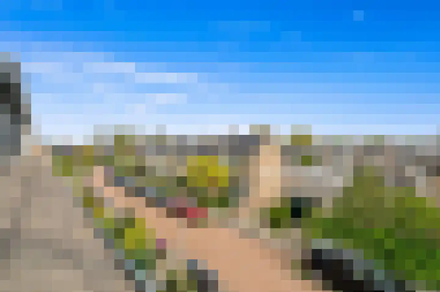 Plantage 1 Maasland thumbnail 52