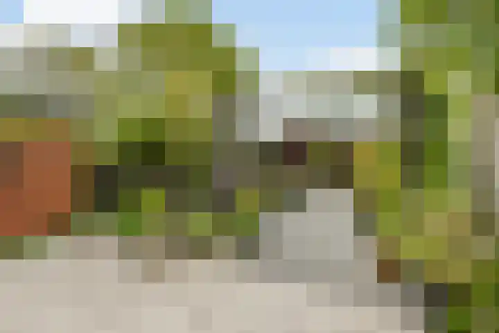 Plantage 121 Lelystad thumbnail 33