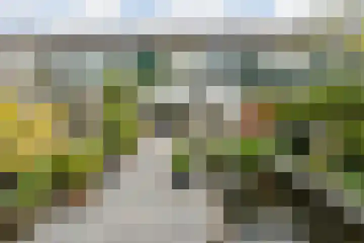 Plantage 121 Lelystad thumbnail 34
