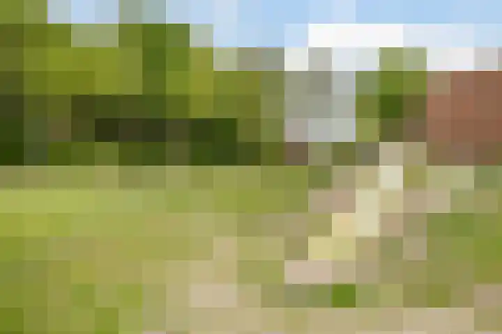 Plantage 121 Lelystad thumbnail 38