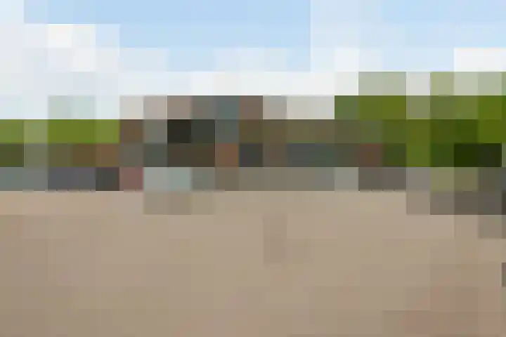 Plantage 121 Lelystad thumbnail 39