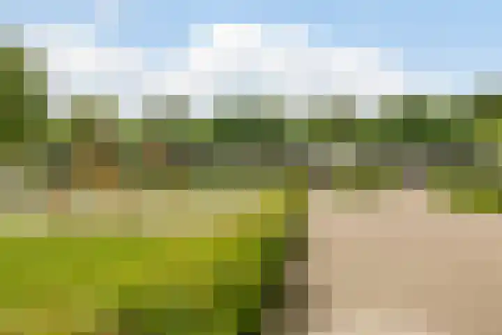 Plantage 121 Lelystad thumbnail 40