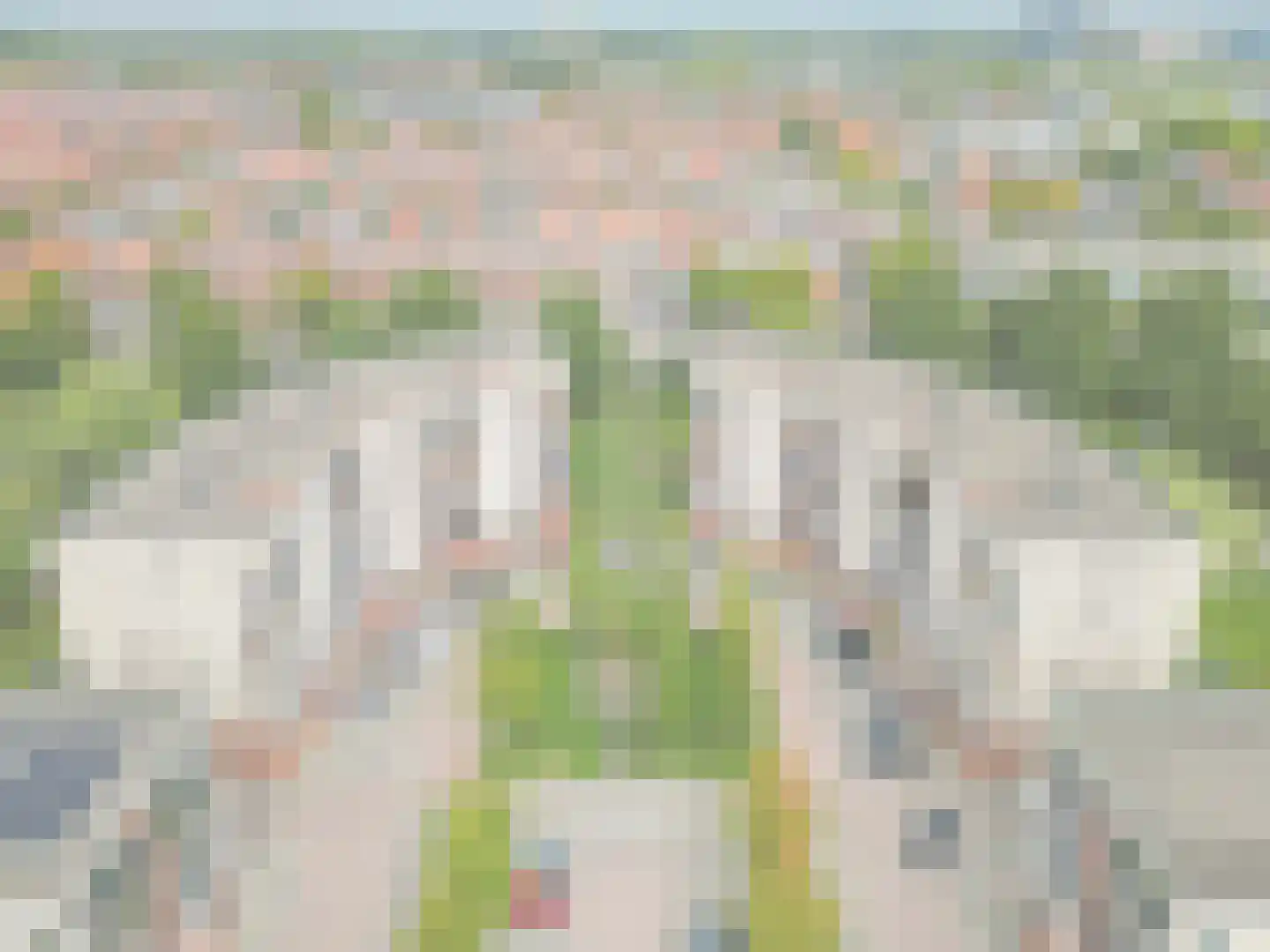Plantage 125 Utrecht thumbnail 37