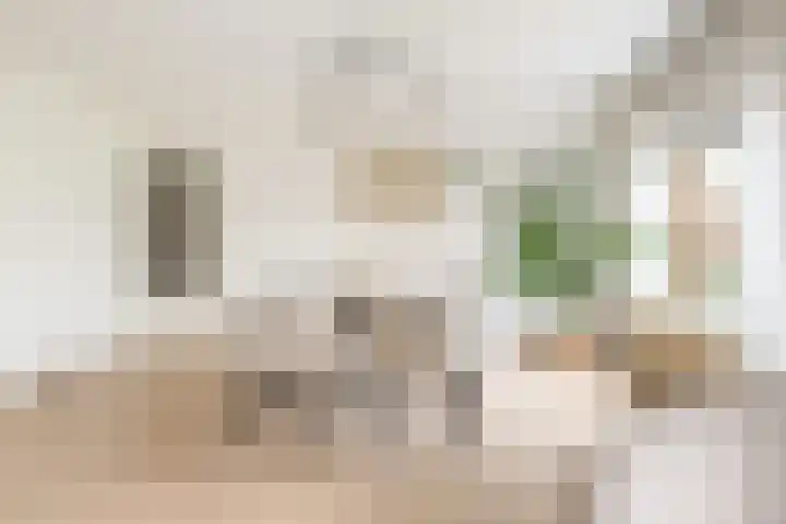 Plantage 126 Utrecht thumbnail 15