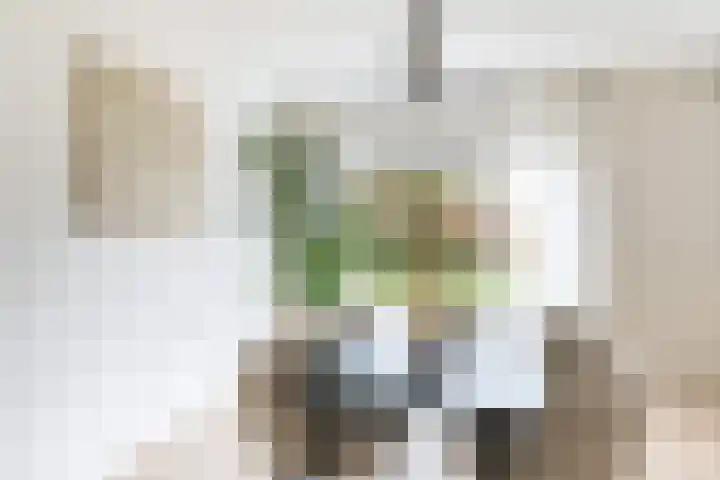 Plantage 126 Utrecht thumbnail 18