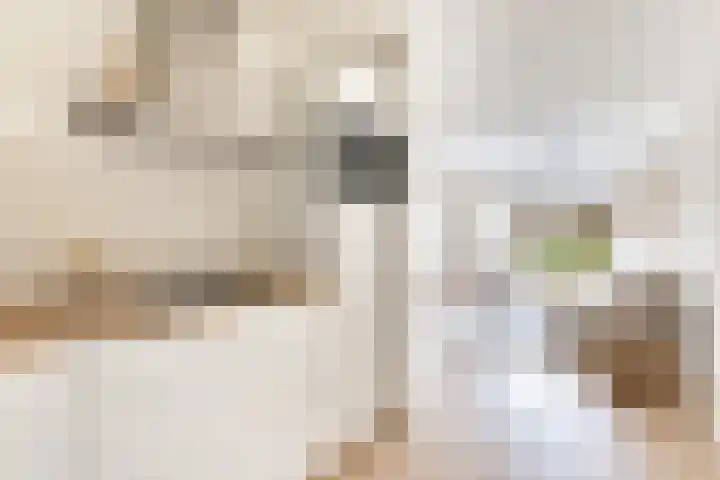 Plantage 126 Utrecht thumbnail 24