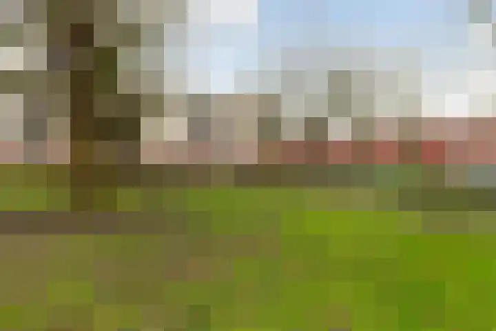 Plantage 126 Utrecht thumbnail 41