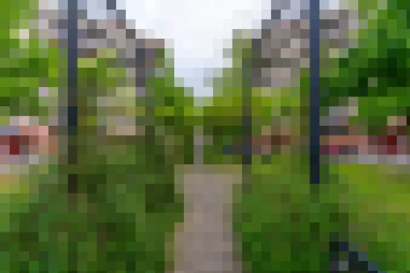 Plantage 131 Utrecht thumbnail 32