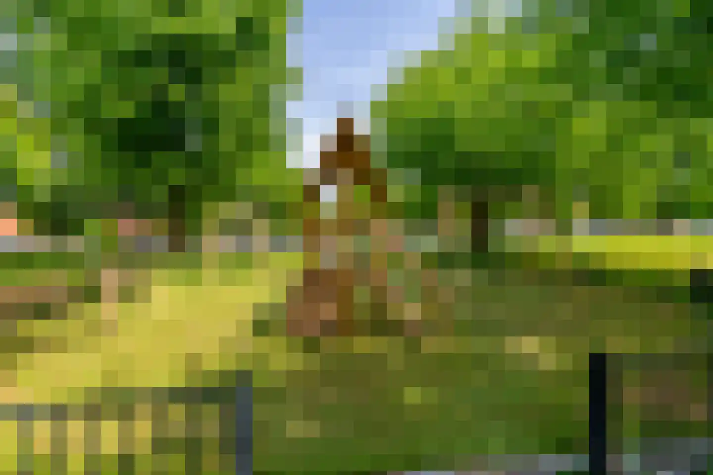 Plantage 131 Utrecht thumbnail 34